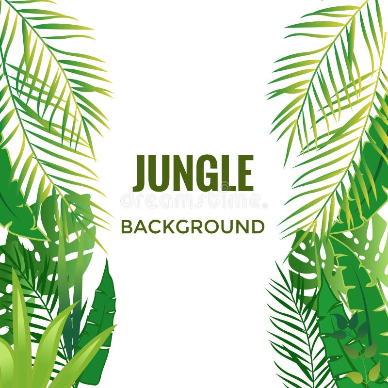 Fond de jungle Arbres et centrales de jungle illustration libre de droits Fond de jungle Arbres et centrales de jungle illustration libre de droits