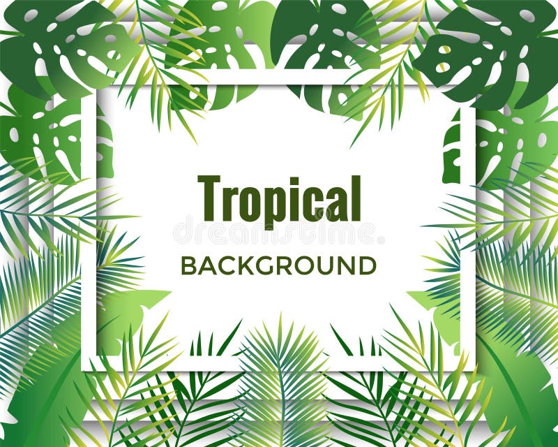 Fond de jungle Arbres et centrales Illustration de vecteur illustration stock Fond de jungle Arbres et centrales Illustration de vecteur illustration stock