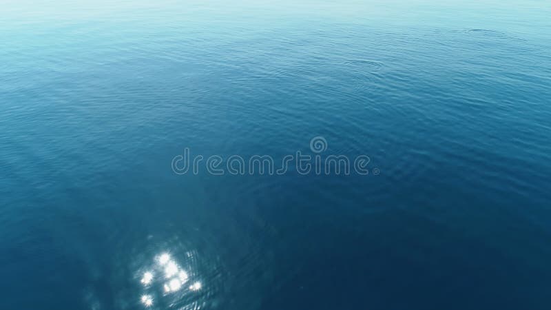 Fond de mer avec des dauphins, volant au-dessus de l'eau de turquoise en mer calme