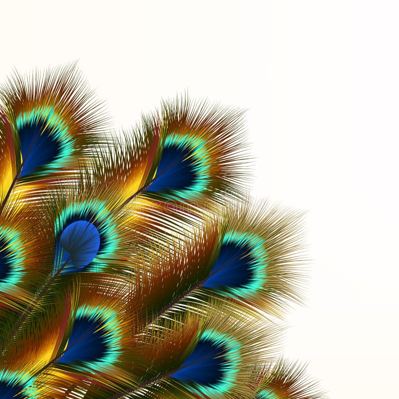 Fashion pattern with colorful feathers. Fashion pattern with colorful feathers