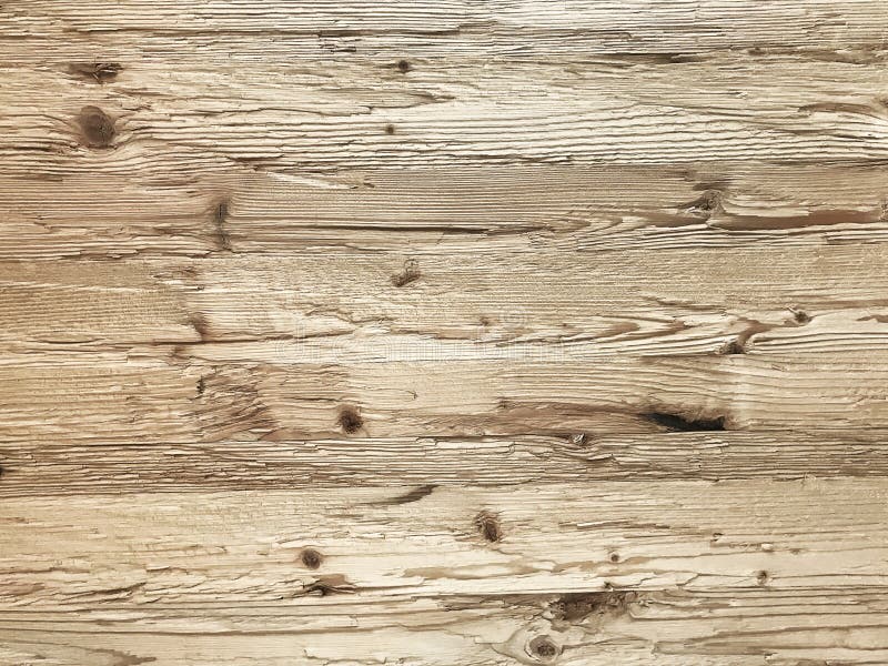 Fond de fond de mur de planche, rustique ou rural en bois naturel clair image libre de droits Fond de fond de mur de planche, rustique ou rural en bois naturel clair image libre de droits