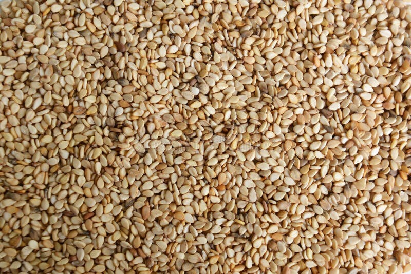 Fond de nourriture des graines de sésame photographie stock Fond de nourriture des graines de sésame photographie stock
