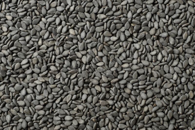 Fond de nourriture des graines de sésame noires, vue supérieure photo stock Fond de nourriture des graines de sésame noires, vue supérieure photo stock