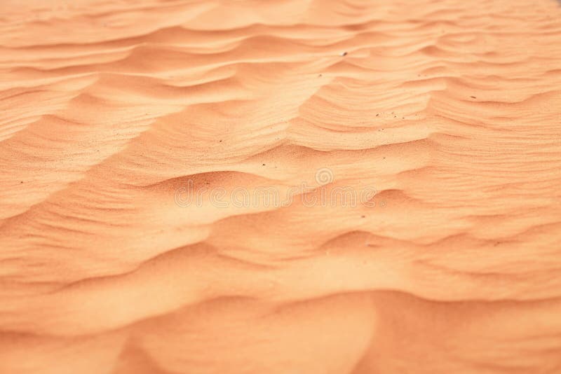 Fond de plage sablonneuse Texture de sable photographie stock Fond de plage sablonneuse Texture de sable photographie stock