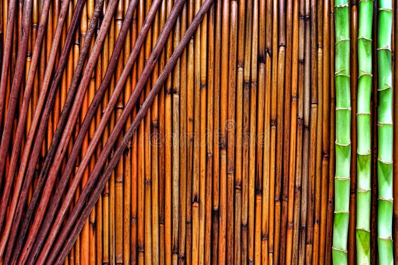 Fond en bambou asiatique image stock Fond en bambou asiatique image stock