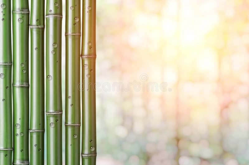 Fond En Bambou Vert Photo Stock Image Du Japonais Japon