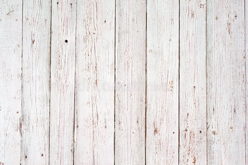 White wood texture background. old wood planks painted with white color. White wood texture background. old wood planks painted with white color