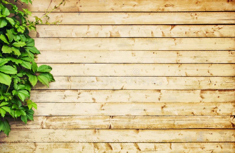 Fond en bois clair photo libre de droits Fond en bois clair photo libre de droits