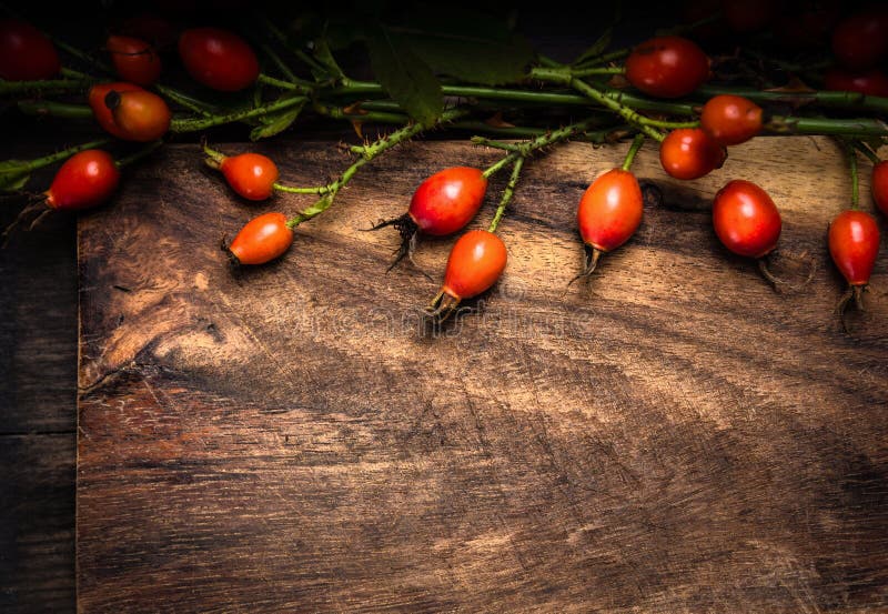 Fond en bois de texture avec les fruits roses sauvages photographie stock Fond en bois de texture avec les fruits roses sauvages photographie stock