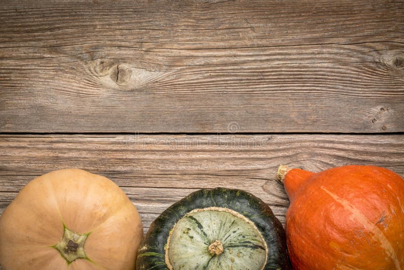 Rustic weathered wood background with winter squash (Thelma Sanders, buttercup and hubbard). Rustic weathered wood background with winter squash (Thelma Sanders, buttercup and hubbard)