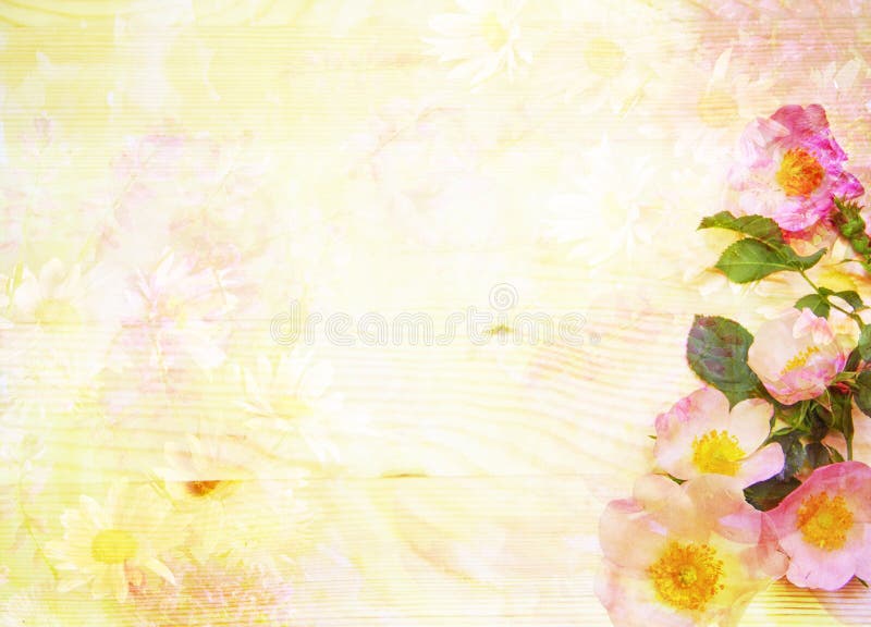 Fond floral abstrait scénique avec les roses sauvages illustration stock Fond floral abstrait scénique avec les roses sauvages illustration stock