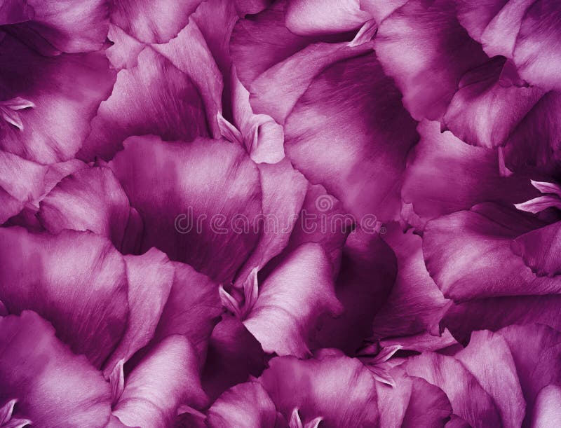 Fond floral de rose de cru Un bouquet des fleurs de turquoise Plan rapproch? collage floral Composition de fleur photographie stock Fond floral de rose de cru Un bouquet des fleurs de turquoise Plan rapproch? collage floral Composition de fleur photographie stock