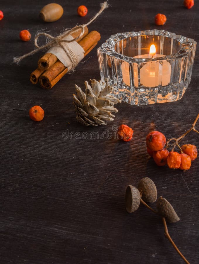 Fond foncé de Noël avec des bougies et des baies de cendre de montagne Cônes de pin blanc S'embranche les glands photo stock Fond foncé de Noël avec des bougies et des baies de cendre de montagne Cônes de pin blanc S'embranche les glands photo stock