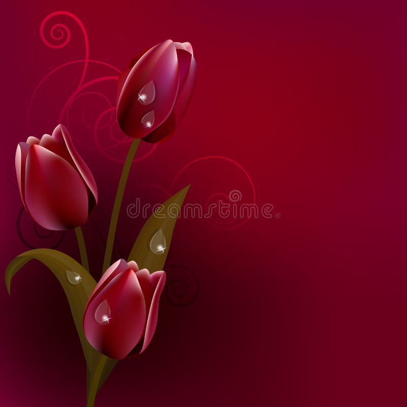 Fond foncé rouge avec des tulipes illustration libre de droits Fond foncé rouge avec des tulipes illustration libre de droits