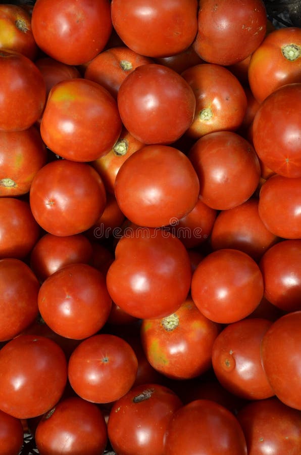 Fond format din tomate suculente coapte. royalty free stock images