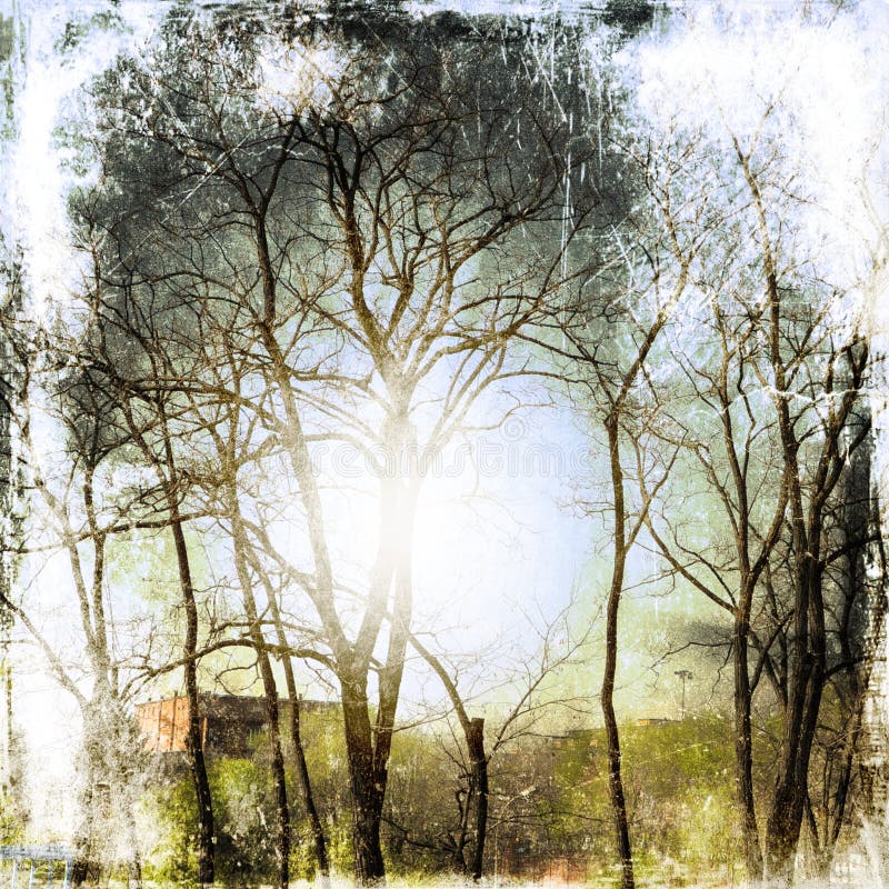 Fond grunge de nature avec les arbres nus image stock Fond grunge de nature avec les arbres nus image stock