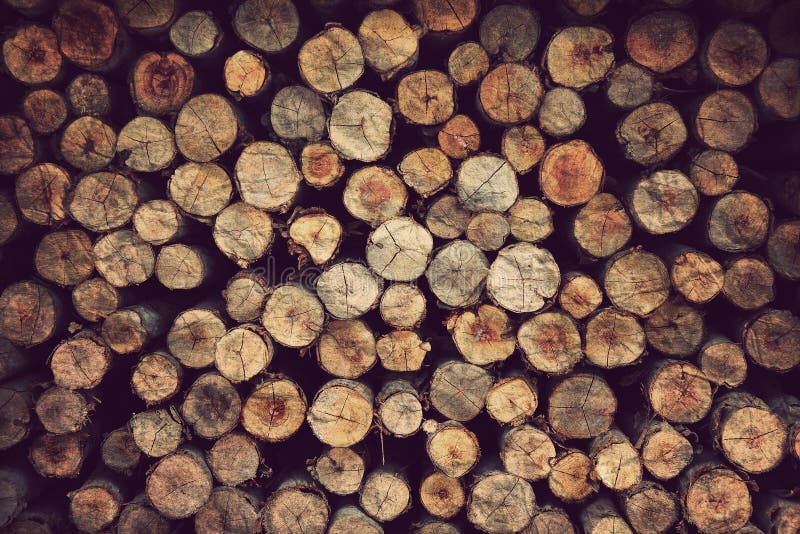 Fond matériel en bois photo stock Fond matériel en bois photo stock