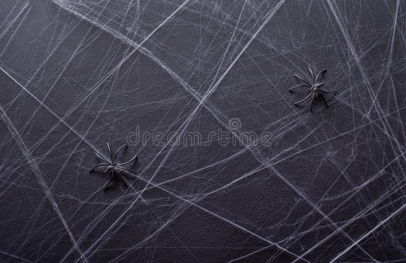 fond pour Halloween Texture grise Web du ` s d'araignée photographie stock libre de droits fond pour Halloween Texture grise Web du ` s d'araignée photographie stock libre de droits