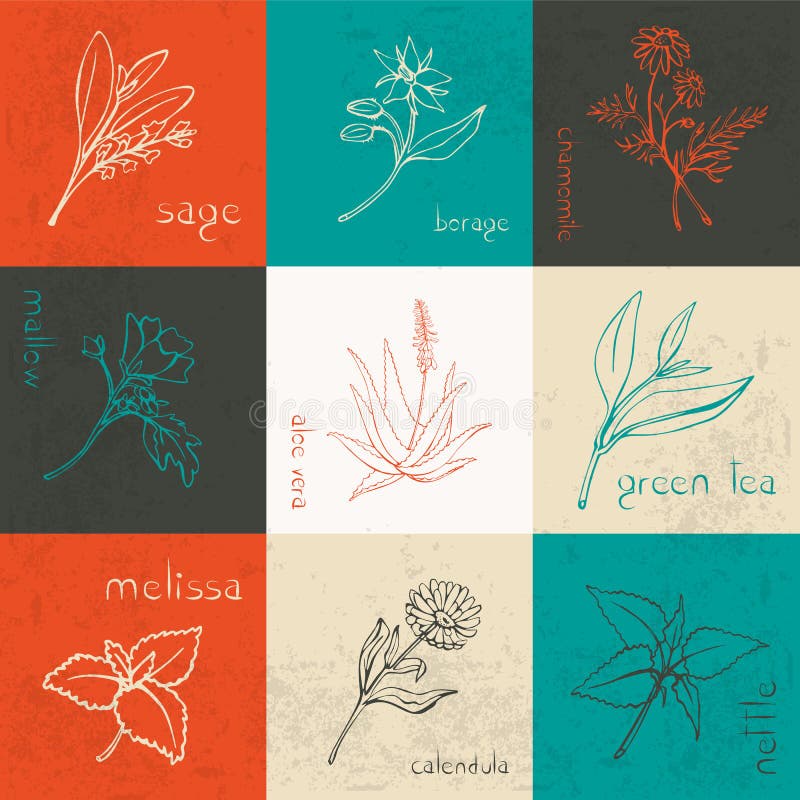 Fond sain d'herbes illustration stock Fond sain d'herbes illustration stock