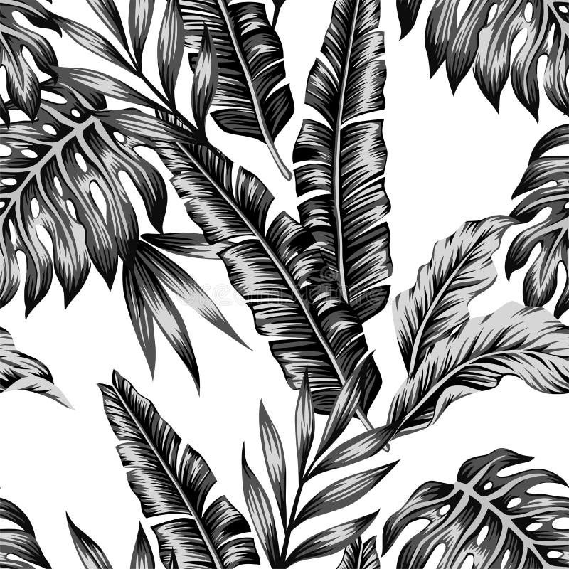 Fond sans couture à la mode de plantes tropicales illustration stock