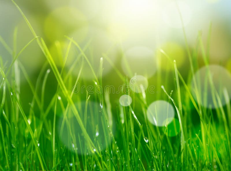 Fond verde albastru royalty free stock photo