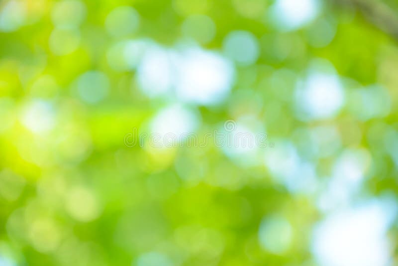 Fond vert de bokeh photos libres de droits Fond vert de bokeh photos libres de droits