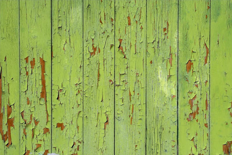 Grunge backgrounds - painted green background. Grunge backgrounds - painted green background