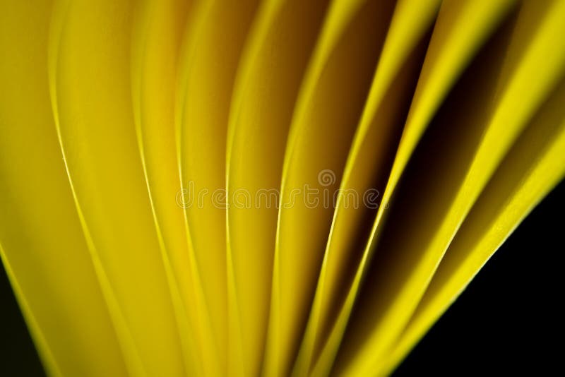 Fondo amarillo de borde de papel fotografía de archivo libre de regalías Fondo amarillo de borde de papel fotografía de archivo libre de regalías