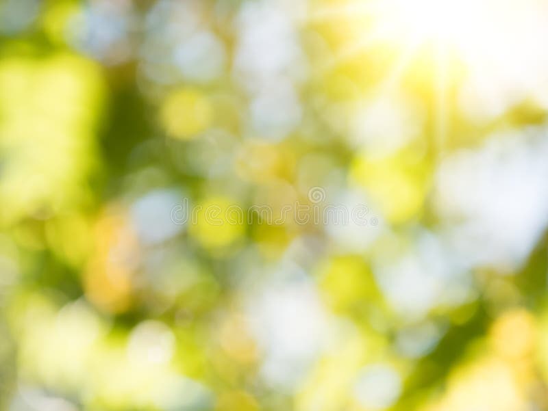 Fondo astratto blured verde fotografie stock Fondo astratto blured verde fotografie stock