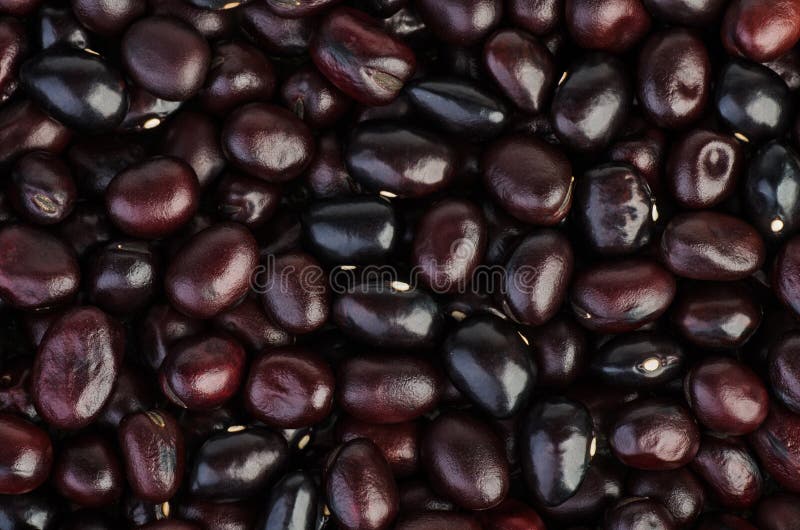 Fondo astratto: fagioli neri immagine stock