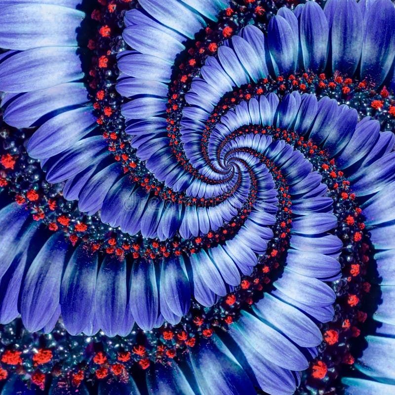 Fondo azul del modelo del efecto del fractal del extracto del espiral de la flor de la margarita de la manzanilla Modelo violeta fotografía de archivo Fondo azul del modelo del efecto del fractal del extracto del espiral de la flor de la margarita de la manzanilla Modelo violeta fotografía de archivo