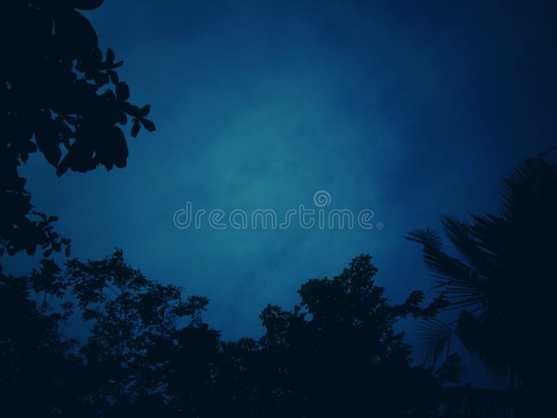 Dark blue tone background with patterns of shadows, trees and twigs with sky for empty space and wallpapers. Dark blue tone background with patterns of shadows, trees and twigs with sky for empty space and wallpapers.