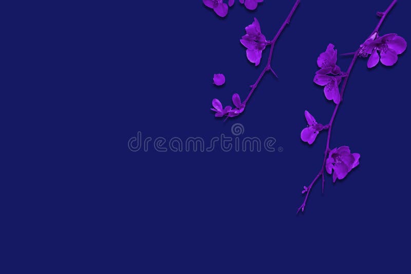 Fondo azul marino elegante con las flores púrpuras delicadas imagenes de archivo Fondo azul marino elegante con las flores púrpuras delicadas imagenes de archivo