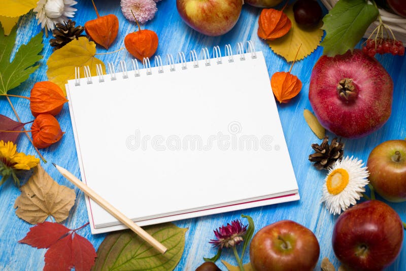 Fondo brillante del otoño Cuaderno para la inscripción Flores, hojas y frutas en un fondo de madera azul Fondo para imagenes de archivo Fondo brillante del otoño Cuaderno para la inscripción Flores, hojas y frutas en un fondo de madera azul Fondo para imagenes de archivo