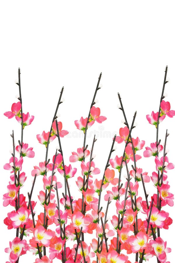 Fondo Chino De Los Flores De Cereza Del Año Nuevo Imagen de archivo - Imagen de festivo, celebre: 18044255 Fondo Chino De Los Flores De Cereza Del Año Nuevo Imagen de archivo - Imagen de festivo, celebre: 18044255