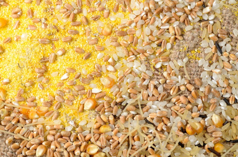 Fondo colorido de los gérmenes de cereal fotos de archivo Fondo colorido de los gérmenes de cereal fotos de archivo