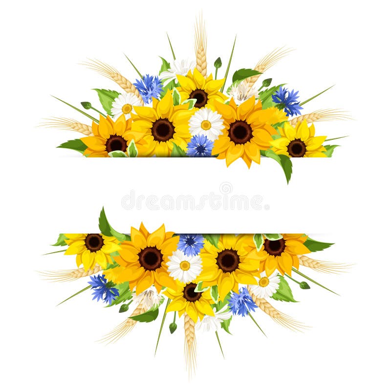 Fondo con i girasoli, le margherite, i fiordalisi e le orecchie di grano Vettore EPS-10 illustrazione vettoriale Fondo con i girasoli, le margherite, i fiordalisi e le orecchie di grano Vettore EPS-10 illustrazione vettoriale