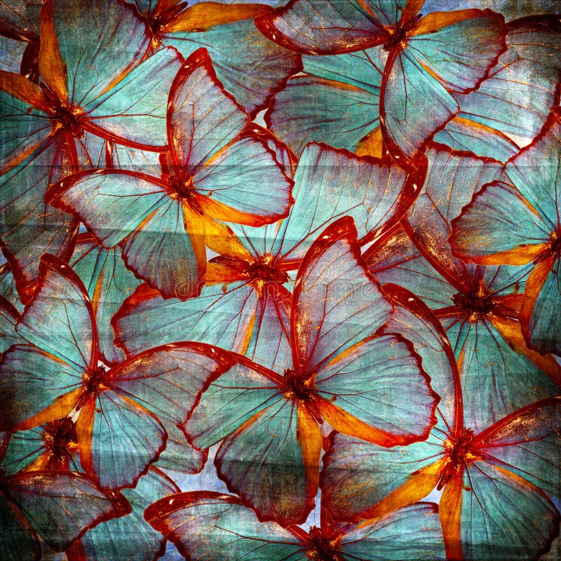 Fondo con la mariposa imagenes de archivo Fondo con la mariposa imagenes de archivo