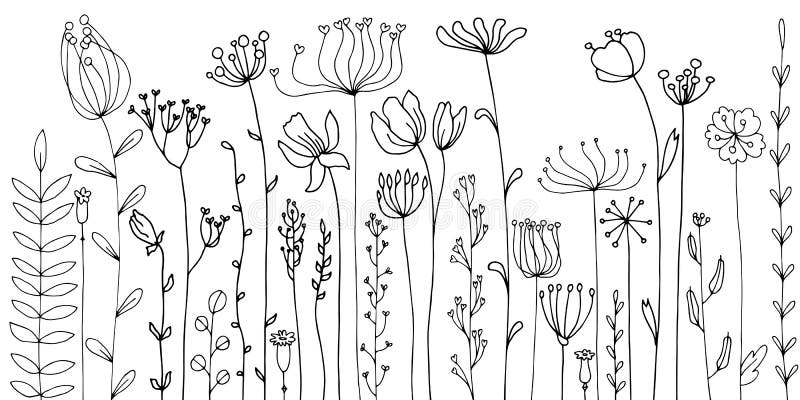 Fondo Con Las Hierbas Y Las Flores Del Dibujo Ilustración del Vector -  Ilustración de vector, herbario: 110824422