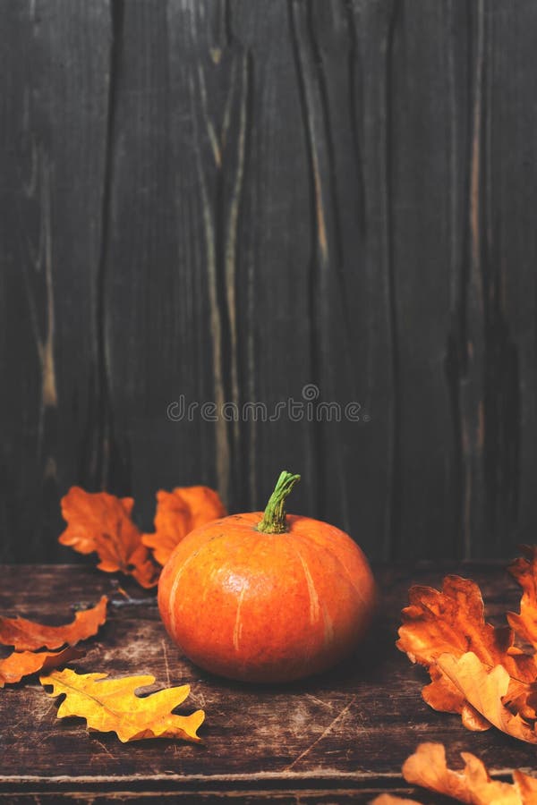 Autumn Fall background with pumpkins and golden leaves on rustic wooden background. Happy Thanksgiving Card with copy space. Autumn Fall background with pumpkins and golden leaves on rustic wooden background. Happy Thanksgiving Card with copy space.