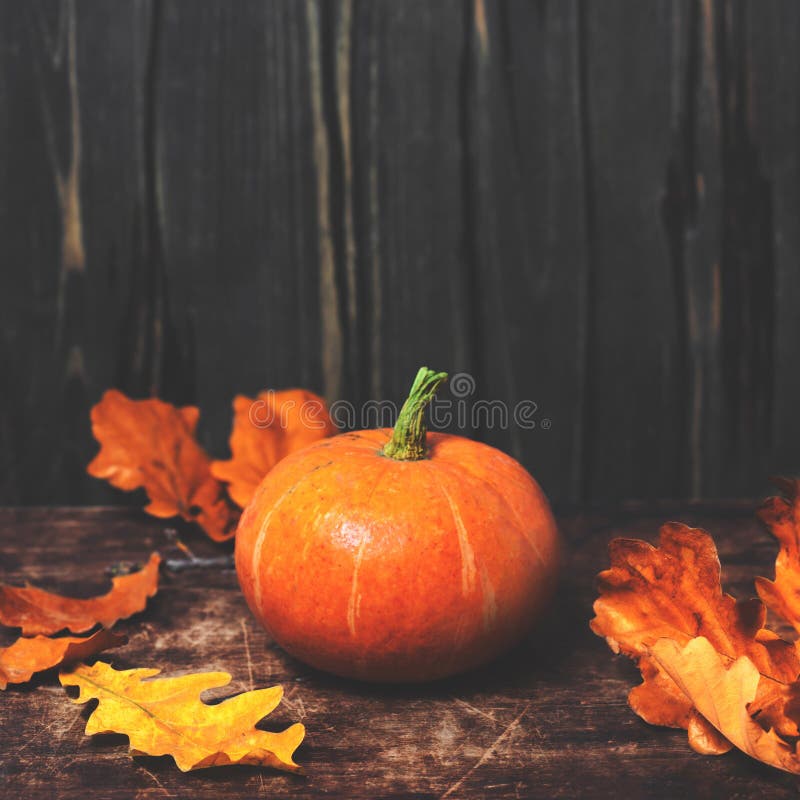 Autumn Fall background with pumpkins and golden leaves on rustic wooden background. Happy Thanksgiving Card with copy space. Autumn Fall background with pumpkins and golden leaves on rustic wooden background. Happy Thanksgiving Card with copy space.