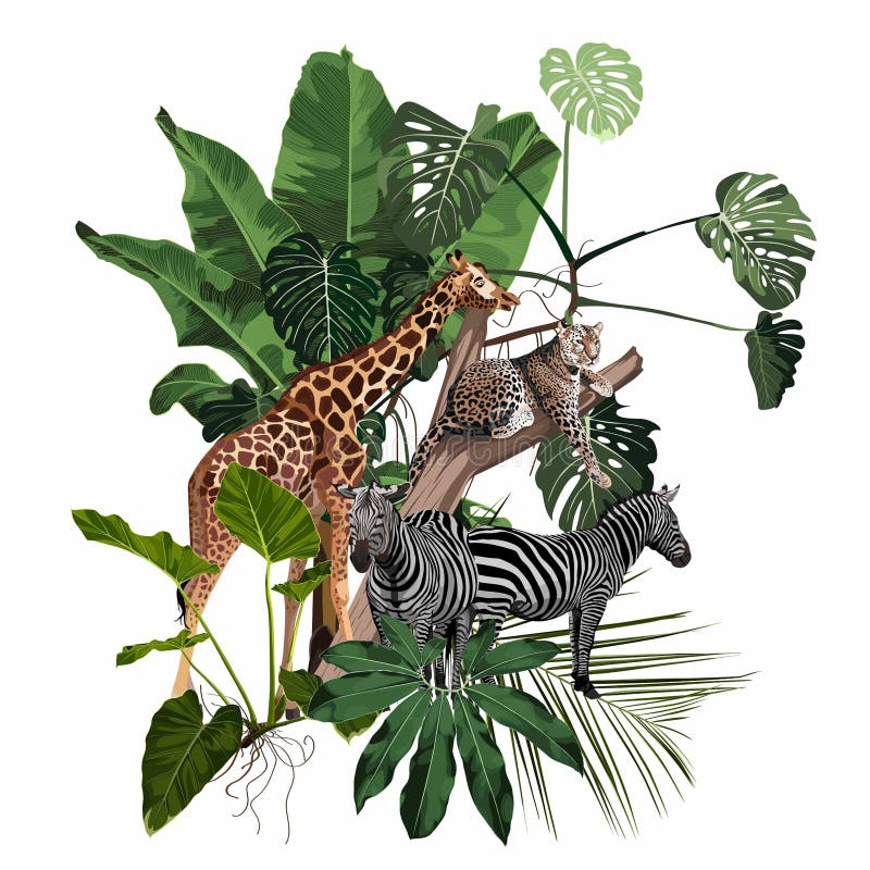 Fondo De Banner De Naturaleza Abstracta De Temporada. Plantas De Selva Dibujos Animados Animales Leopardo Cebra Girafa Ilustración del Vector