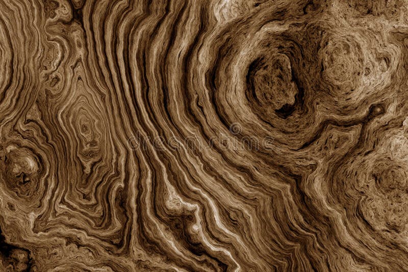 Texture of roots of tree with wavy lines and age rings. Abstract background. Texture of roots of tree with wavy lines and age rings. Abstract background.