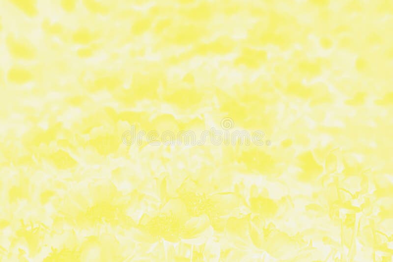 Fondo De Color Amarillo Claro Y Oscuro Con Flores Patrón De Flores Imagen  de archivo - Imagen de cortinas, amarillo: 173049869