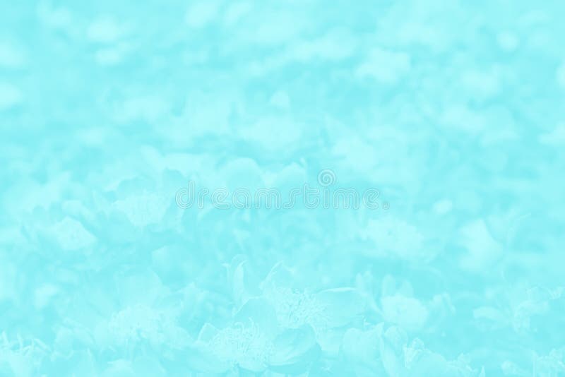 pix Imagen De Color Azul Turquesa fondo de color azul turquesa claro con