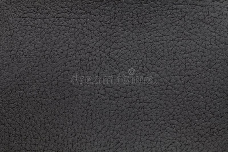 Fondo de cuero negro de la textura Foto del primer Piel del reptil imagen de archivo libre de regalías Fondo de cuero negro de la textura Foto del primer Piel del reptil imagen de archivo libre de regalías
