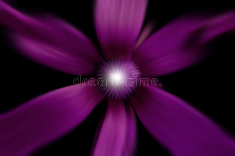 Fondo De Flores Moradas. Con Brillo Luminoso De Una Flor Violeta En El  Diseño De Movimiento Digital Efecto Sobre El Fondo Negro Foto de archivo -  Imagen de flores, planta: 186945250