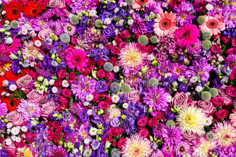 Fondo de flores naturales mixtas fondo vista de fondo floral composición decorativa ramo colorido imagen de archivo