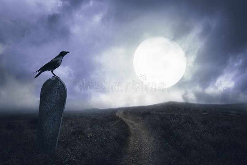 Fondo de Halloween con el cuervo y el sepulcro imagenes de archivo Fondo de Halloween con el cuervo y el sepulcro imagenes de archivo
