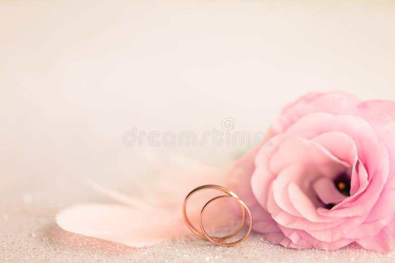 Fondo de la boda con los anillos de oro, la flor apacible y el perno de la luz